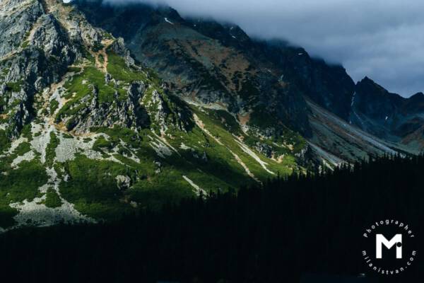 Mountains view with green trees