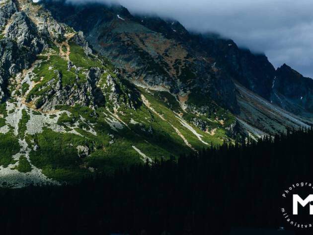 Mountains view with green trees