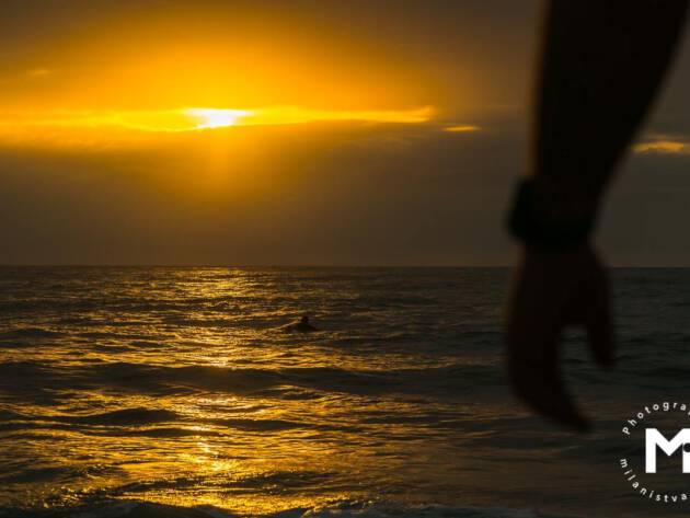Sunrise gold light at the ocean