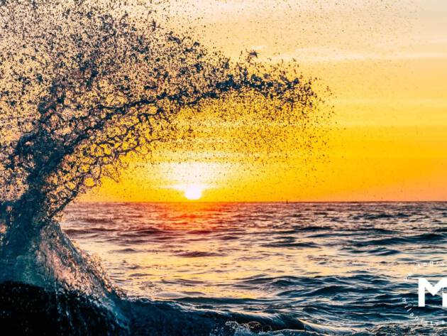 Ocean wave splash at the sunrisce