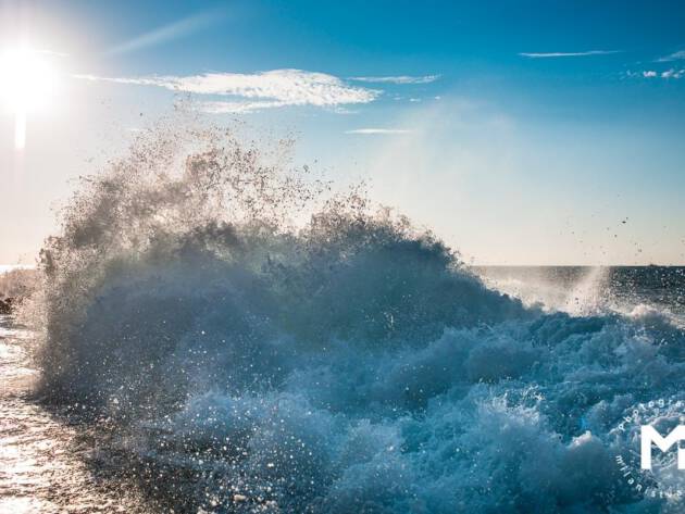 Big ocean wave