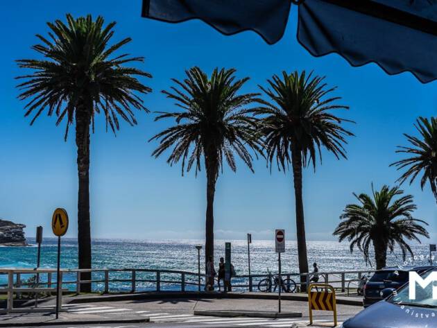 Ocean view with the palms