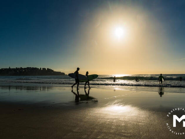 Surfers at the beach