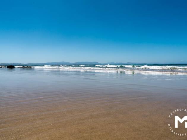 Water clarity at the beach