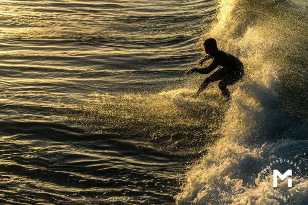 Surfer at the golden sunrise light
