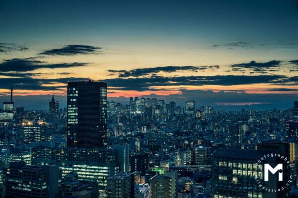 Sunset view at the big city scape