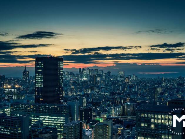 Sunset view at the big city scape