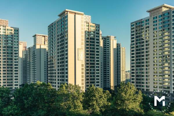 Height residential building in morning light