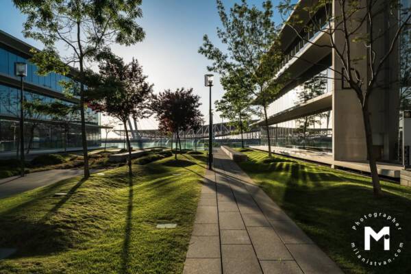 Modern buildings at the sunrise light