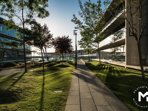 Modern buildings at the sunrise light