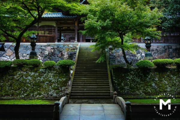 Front entry stairs to the temple