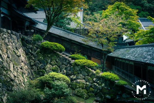 View inside temple with lot of green trees